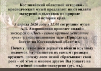 Онлайн экскурсия «Лось – самое крупное животное края» в экспозиционном зале «Природные богатства Костанайской области»